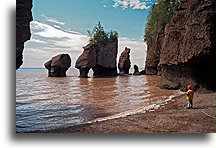 Zatoka Fundy