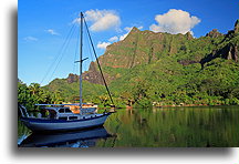 Żaglówka na kotwicy::Moorea, Polinezja Francuska::