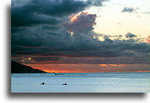 Dwa kajaki::Tahiti, Polinezja Francuska::