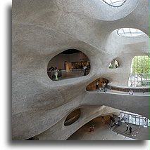 Amerykańskie Muzeum Historii Naturalnej